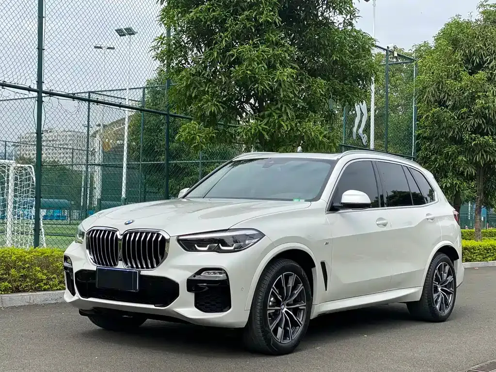 BMW X5 (Import) 2021 из CN, фото 1