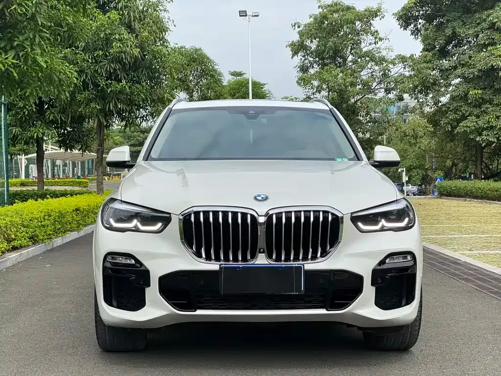 BMW X5 (Import) 2021 из CN, фото 2