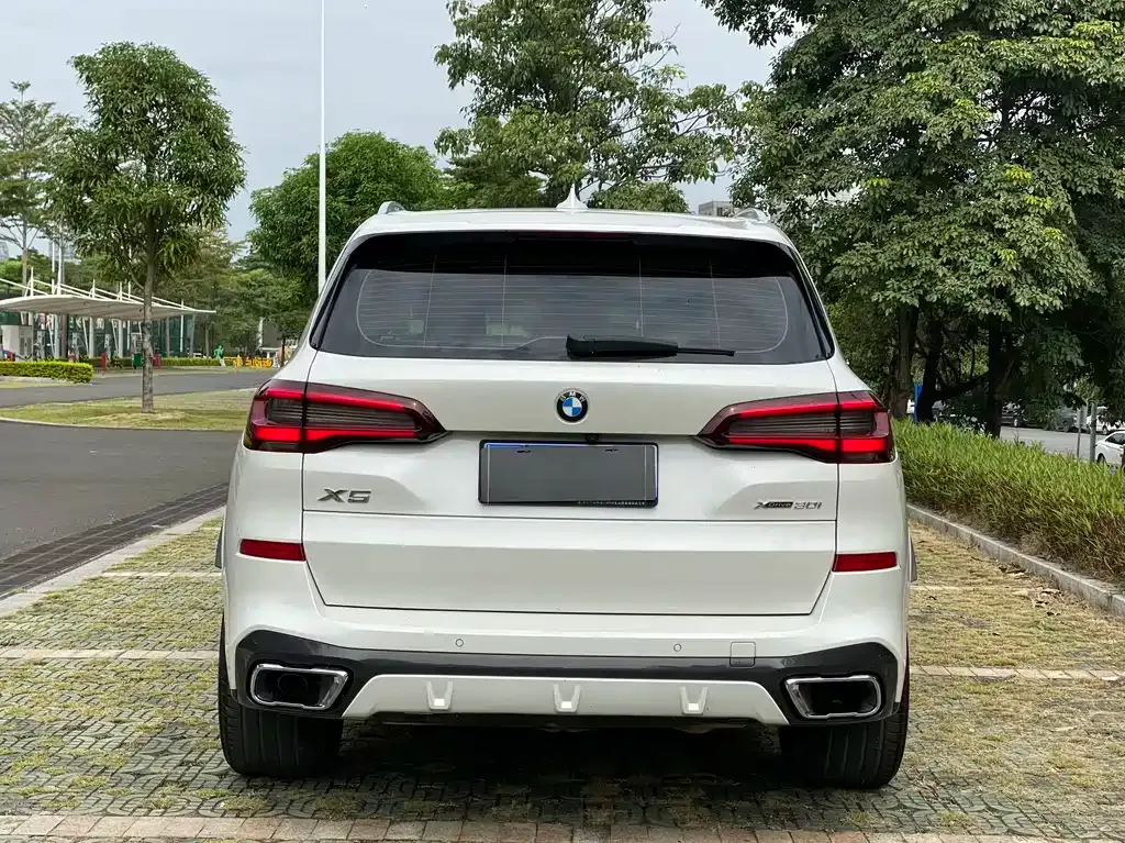BMW X5 (Import) 2021 из CN, фото 3