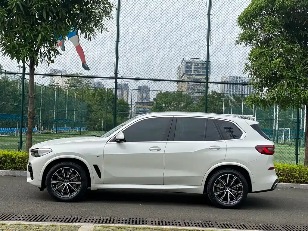 BMW X5 (Import) 2021 из CN, фото 4