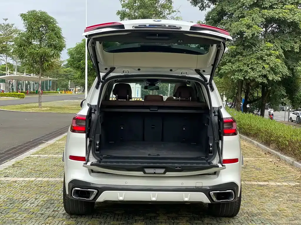 BMW X5 (Import) 2021 из CN, фото 5