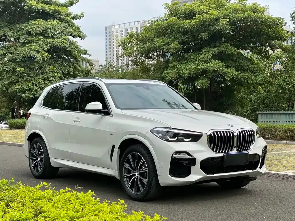 BMW X5 (Import) 2021 из CN, фото 6