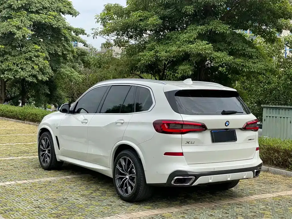 BMW X5 (Import) 2021 из CN, фото 7