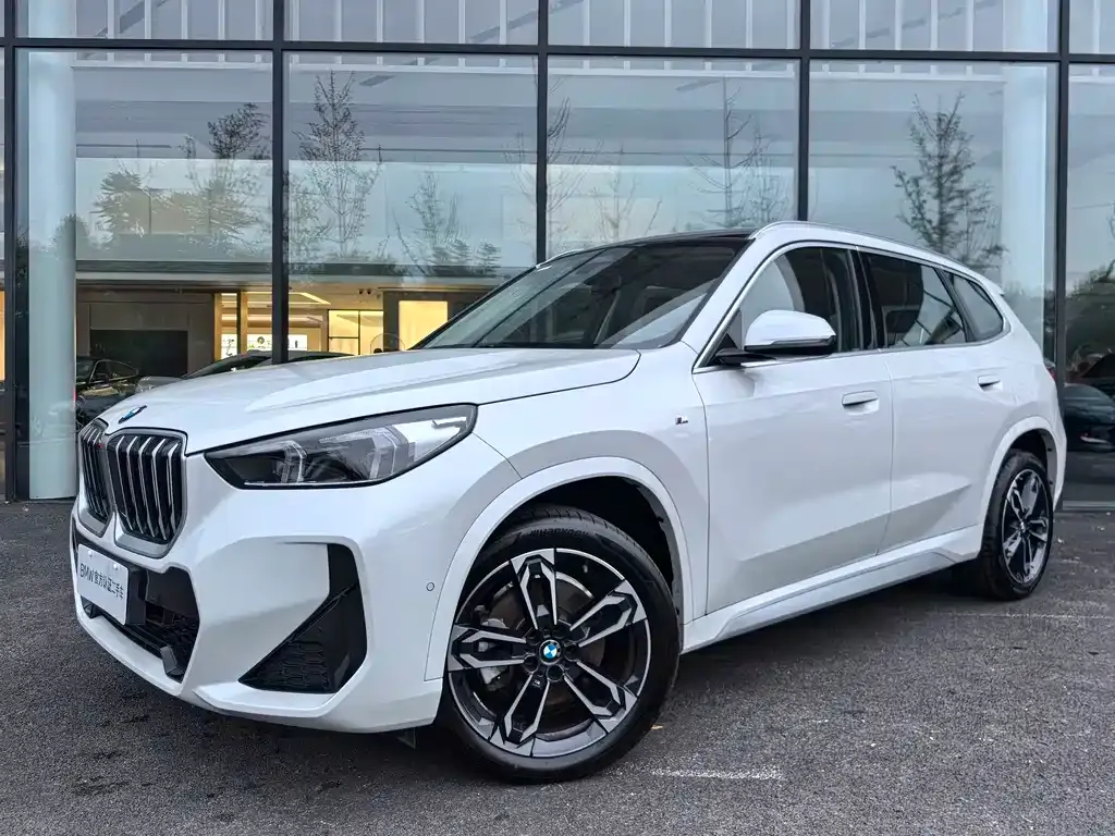 BMW X1 2024 из CN, фото 2