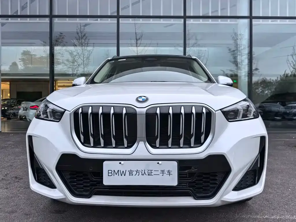 BMW X1 2024 из CN, фото 3