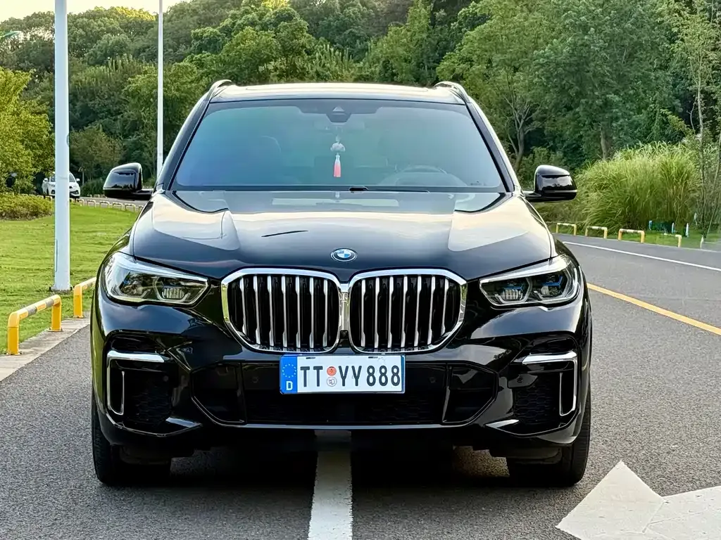 BMW X5 2022 из CN, фото 2