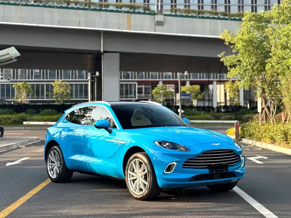 Aston Martin DBX 2022 из CN, фото 2