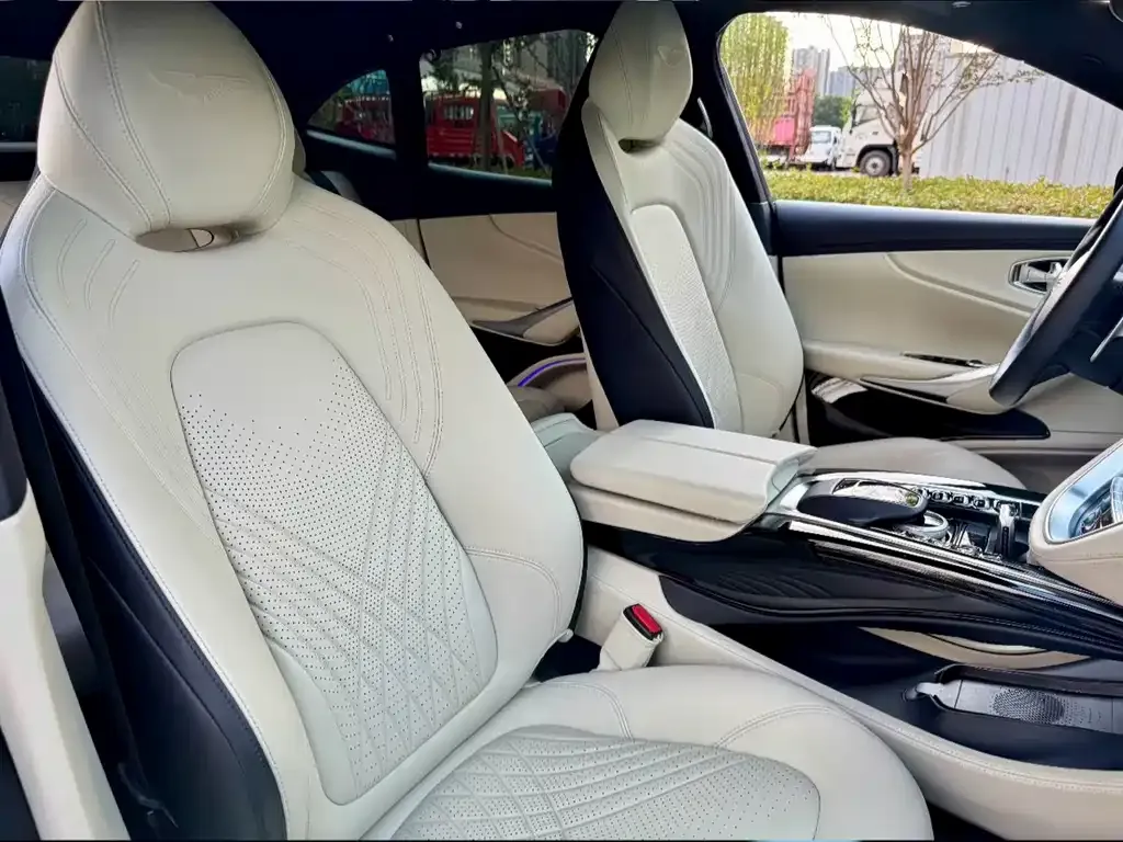 Aston Martin DBX 2022 из CN, фото 4