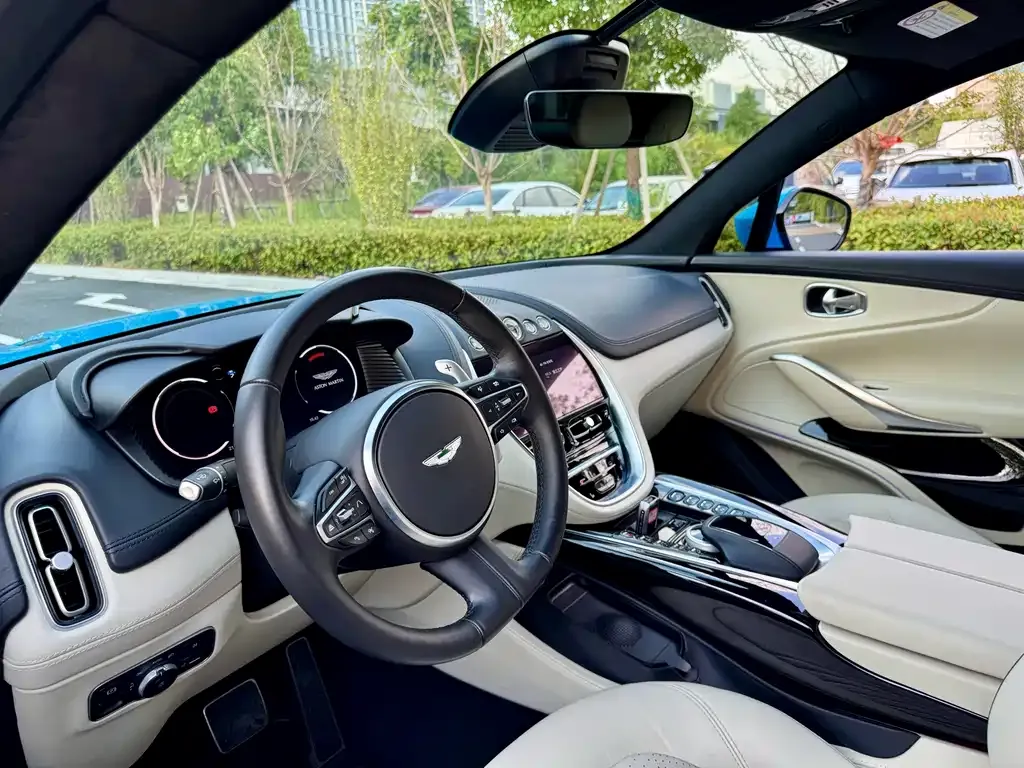 Aston Martin DBX 2022 из CN, фото 5