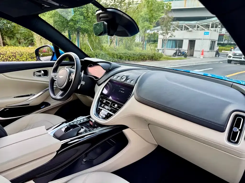 Aston Martin DBX 2022 из CN, фото 6