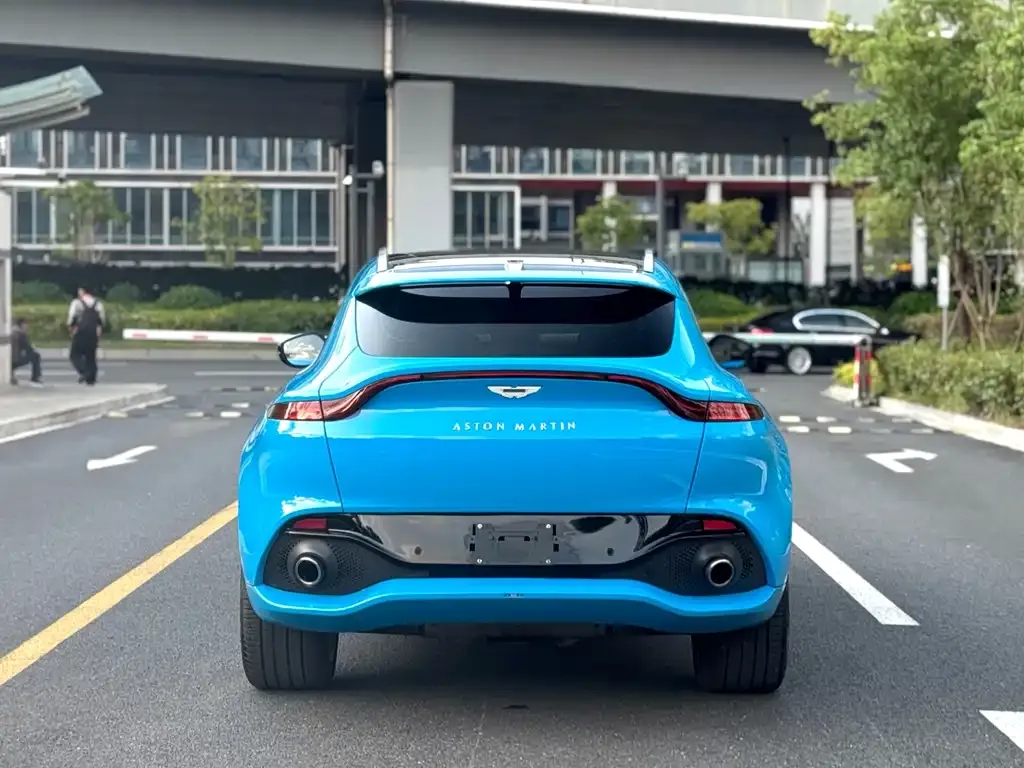 Aston Martin DBX 2022 из CN, фото 7