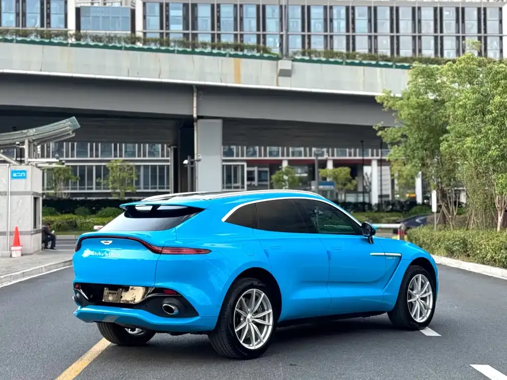 Aston Martin DBX 2022 из CN, фото 8