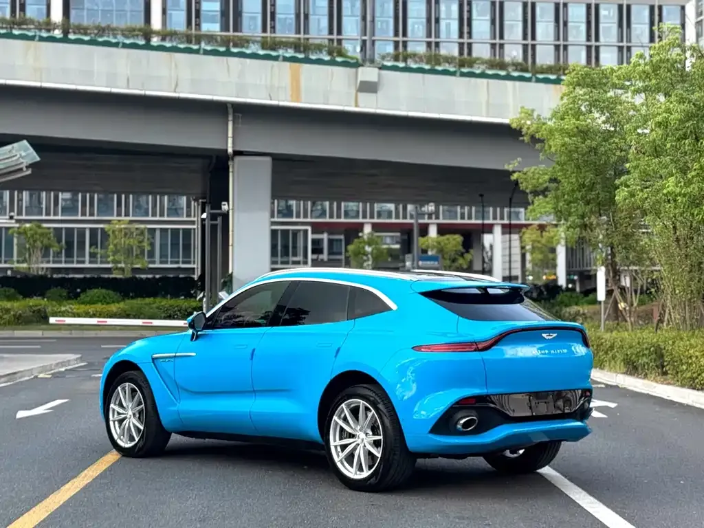 Aston Martin DBX 2022 из CN, фото 9