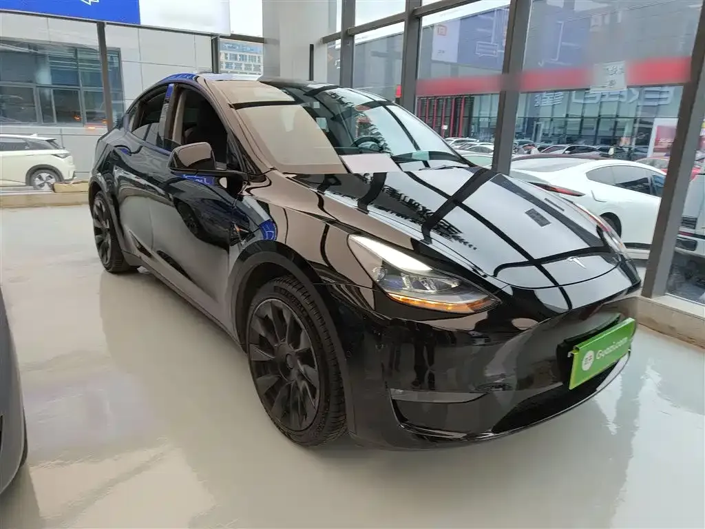 Tesla Model Y 2021 из CN, фото 4