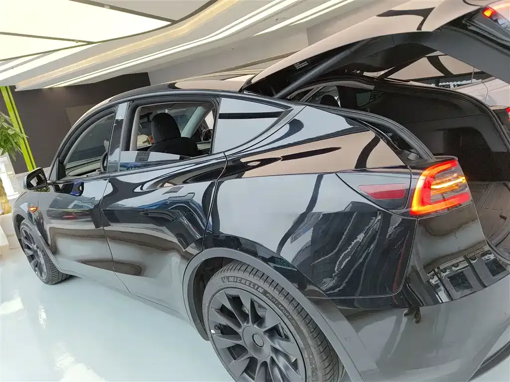 Tesla Model Y 2021 из CN, фото 5