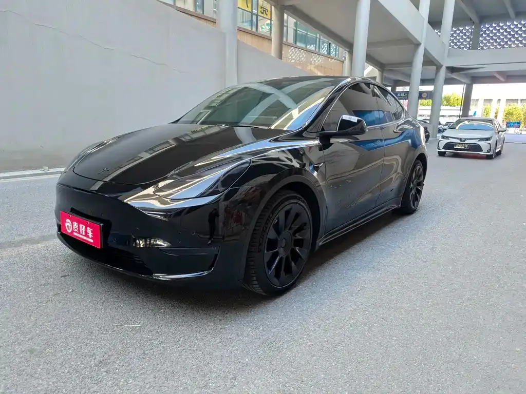 Tesla Model Y 2021 из CN, фото 1