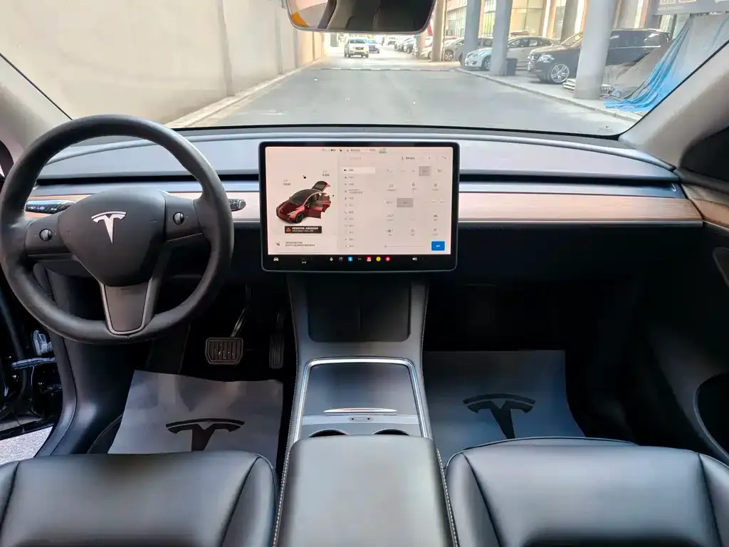 Tesla Model Y 2021 из CN, фото 10