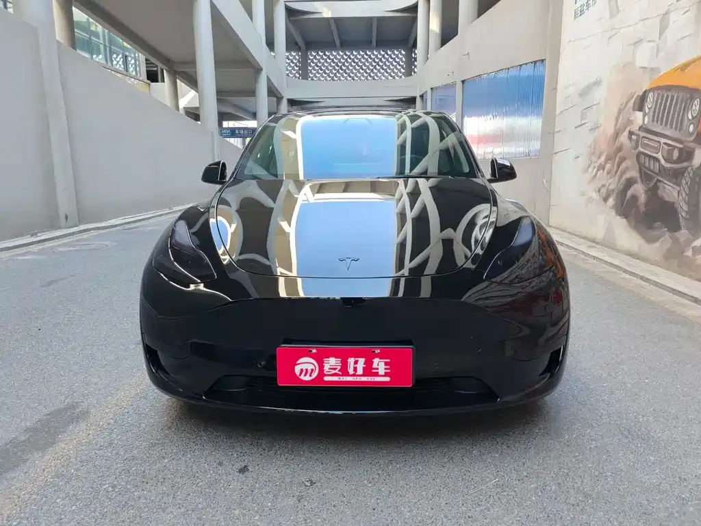 Tesla Model Y 2021 из CN, фото 2