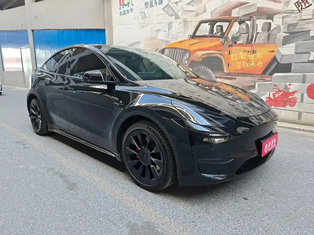 Tesla Model Y 2021 из CN, фото 3