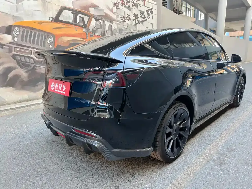 Tesla Model Y 2021 из CN, фото 6