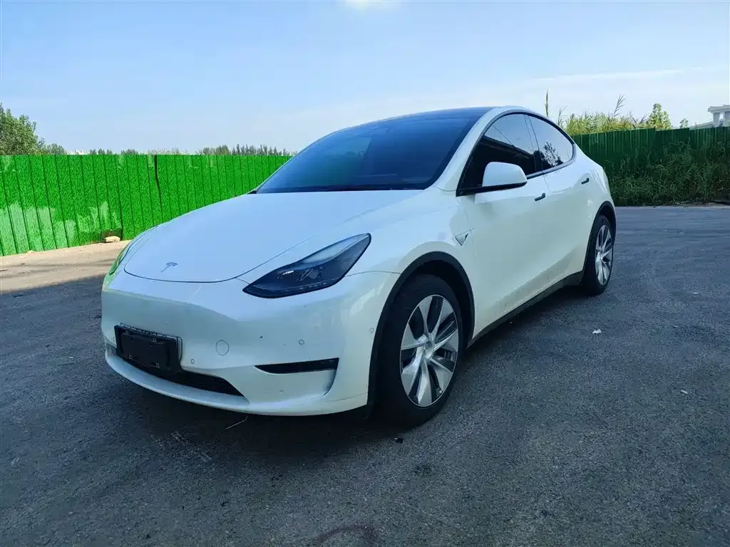 Tesla Model Y 2022 из CN, фото 1