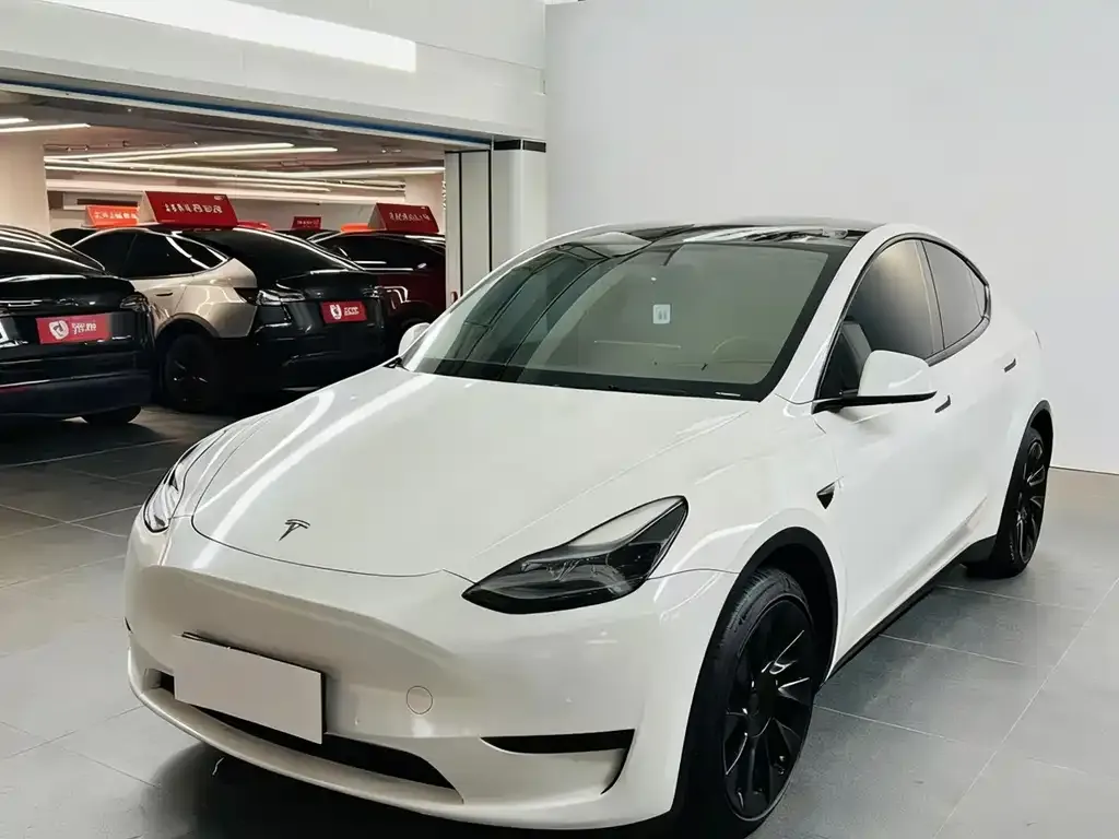 Tesla Model Y — фото 2