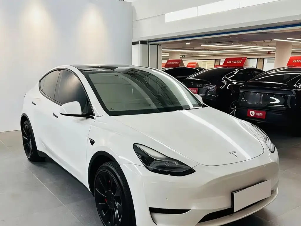 Tesla Model Y — фото 3