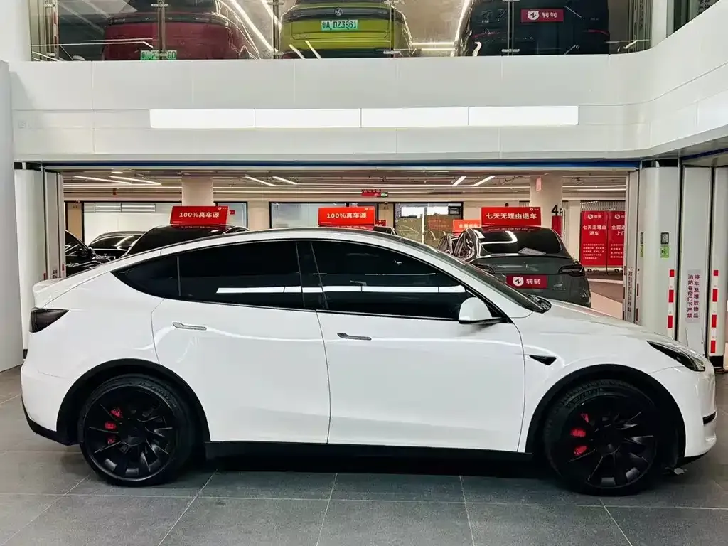 Tesla Model Y — фото 5
