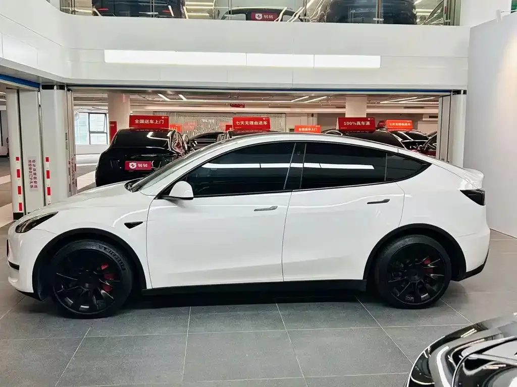 Tesla Model Y — фото 8