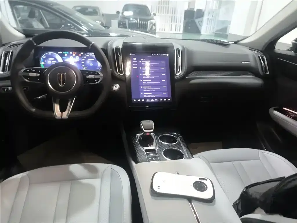 Hongqi HS3 PHEV 2024 из CN, фото 10