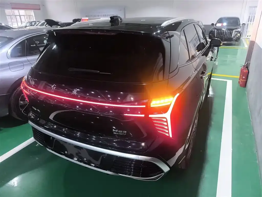 Hongqi HS3 PHEV 2024 из CN, фото 7