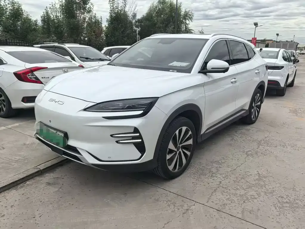 BYD PLUS New Energy 2024 из CN, фото 1