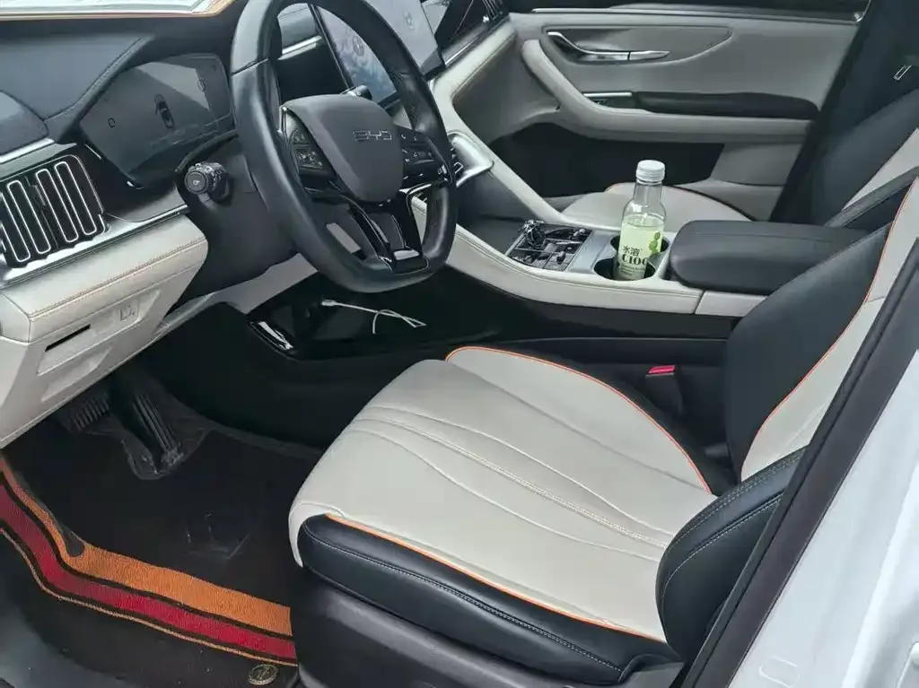 BYD PLUS New Energy 2024 из CN, фото 2