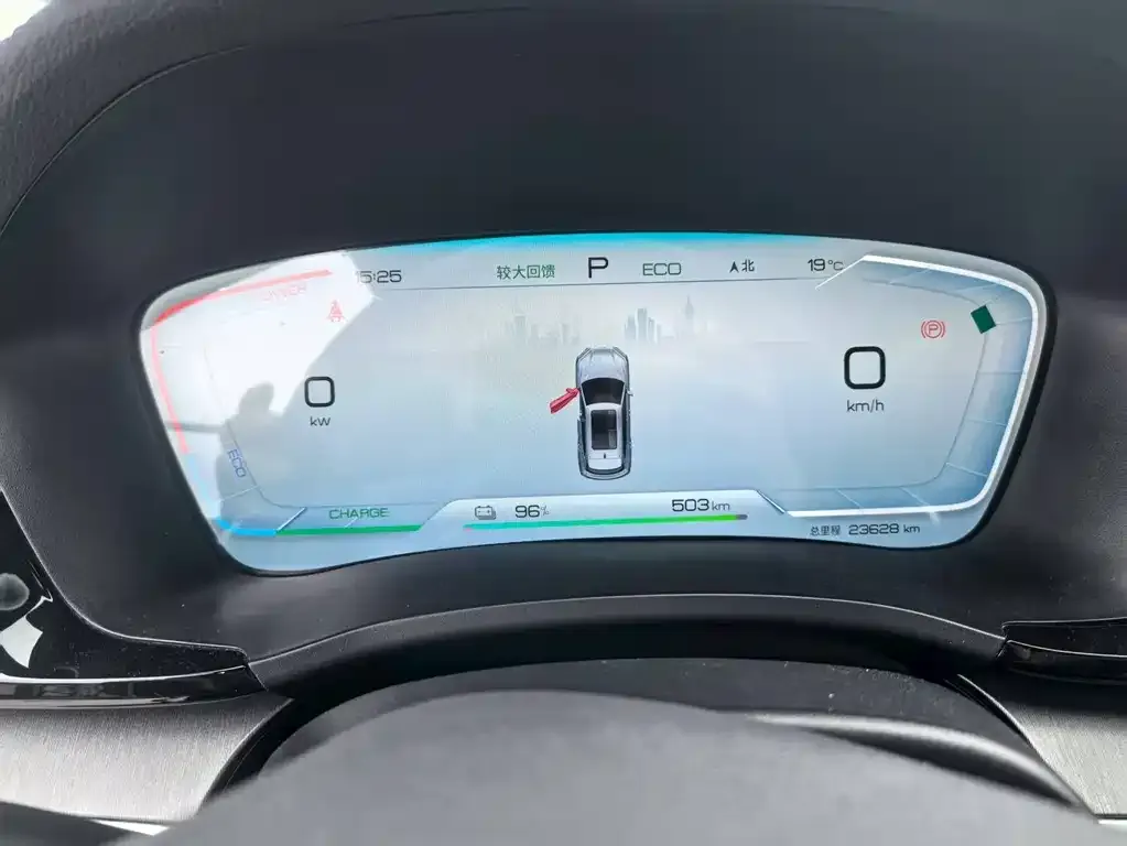BYD PLUS New Energy 2024 из CN, фото 3
