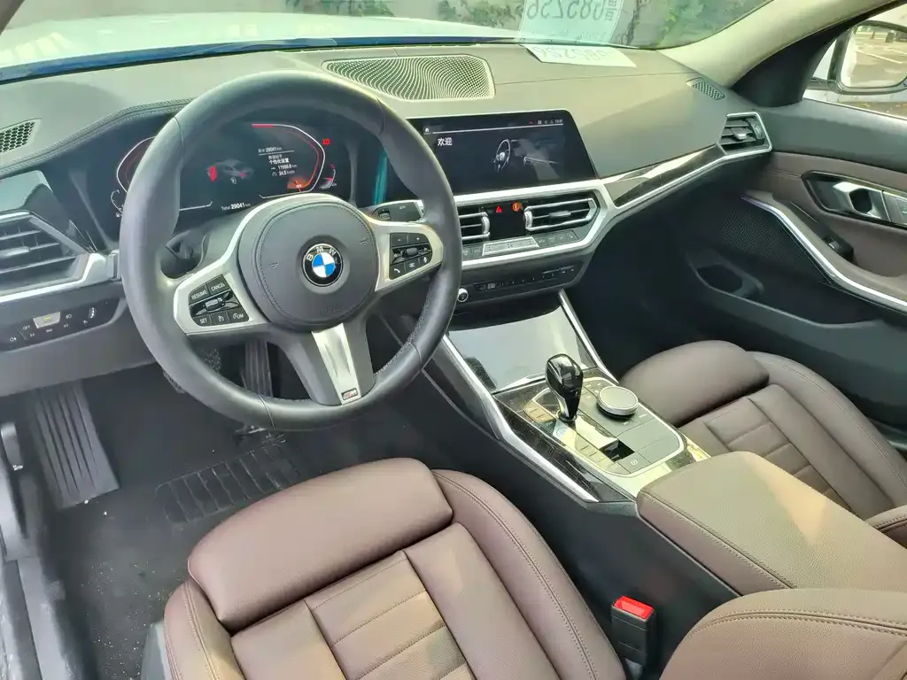 BMW 3 Series 2021 из CN, фото 8