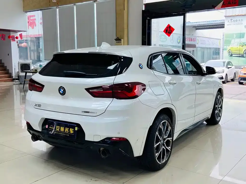 BMW X2 2021 из CN, фото 5