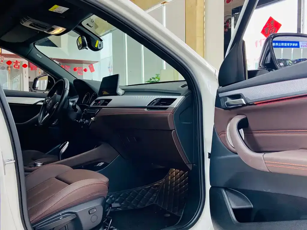 BMW X2 2021 из CN, фото 9