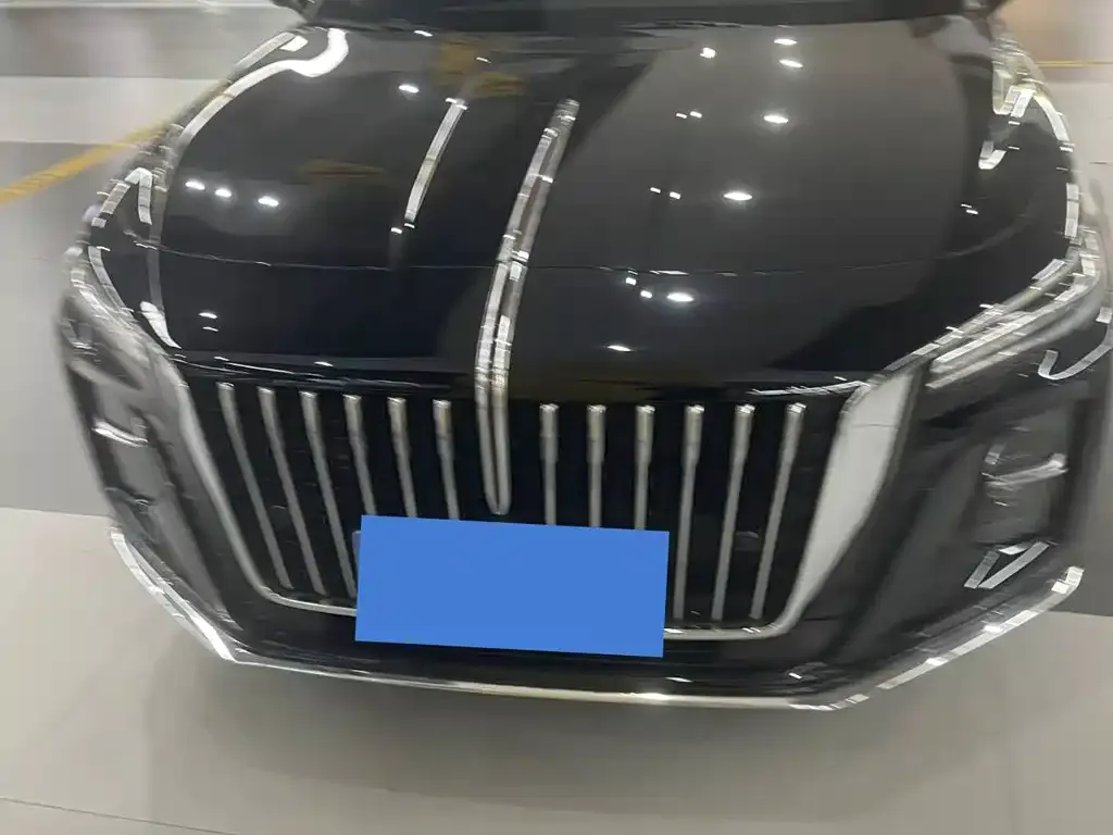 Hongqi H5 2023 из CN, фото 2
