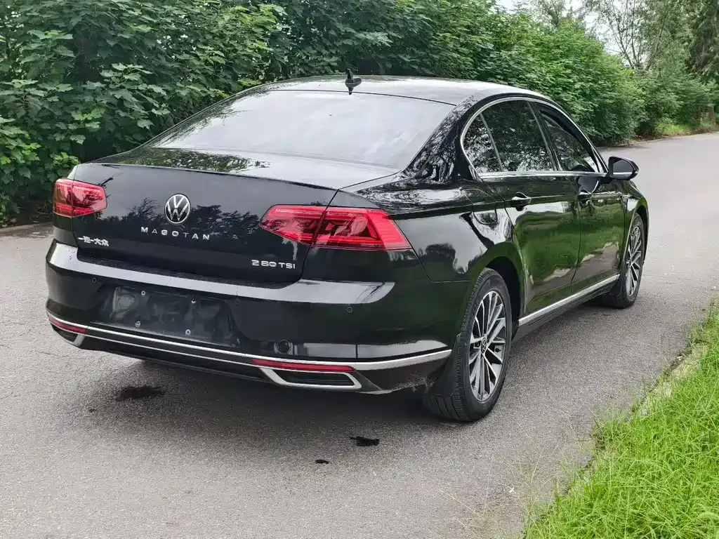 Volkswagen Magotan 2021 из CN, фото 9