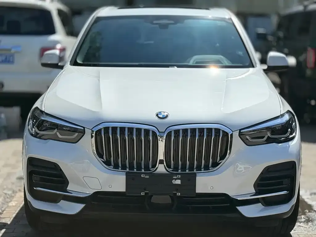 [object Object] X5 (Import) 2022 из CN, фото 2