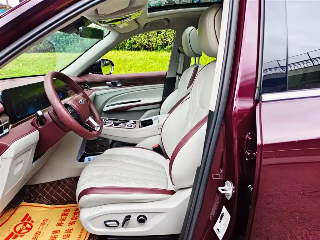Ford Territory 2021 из CN, фото 8