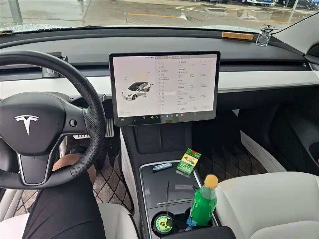 Tesla Model 3 2021 из CN, фото 10