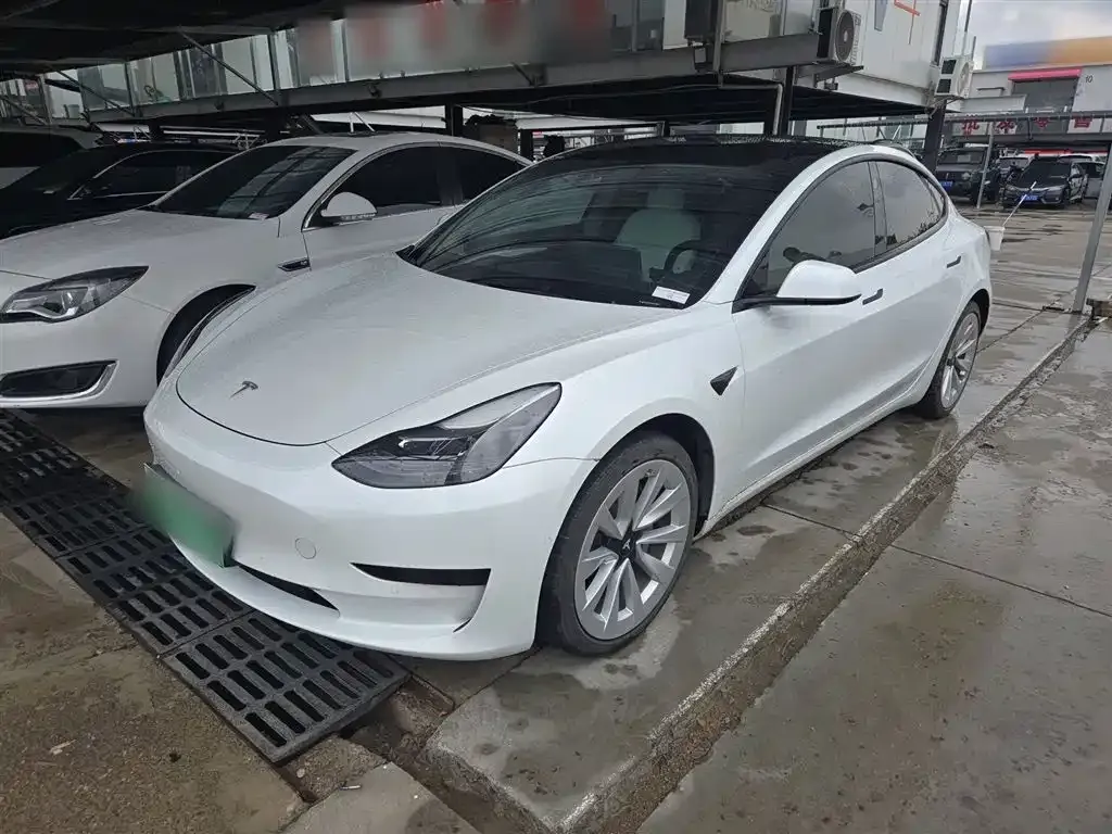 Tesla Model 3 2021 из CN, фото 2