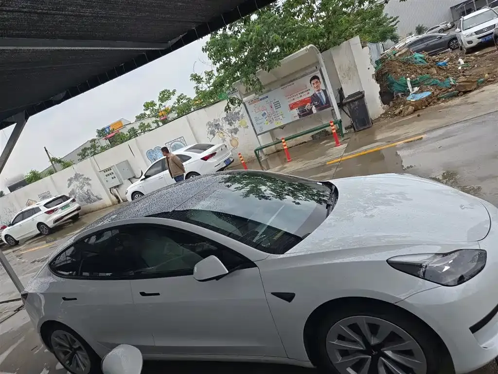 Tesla Model 3 2021 из CN, фото 4