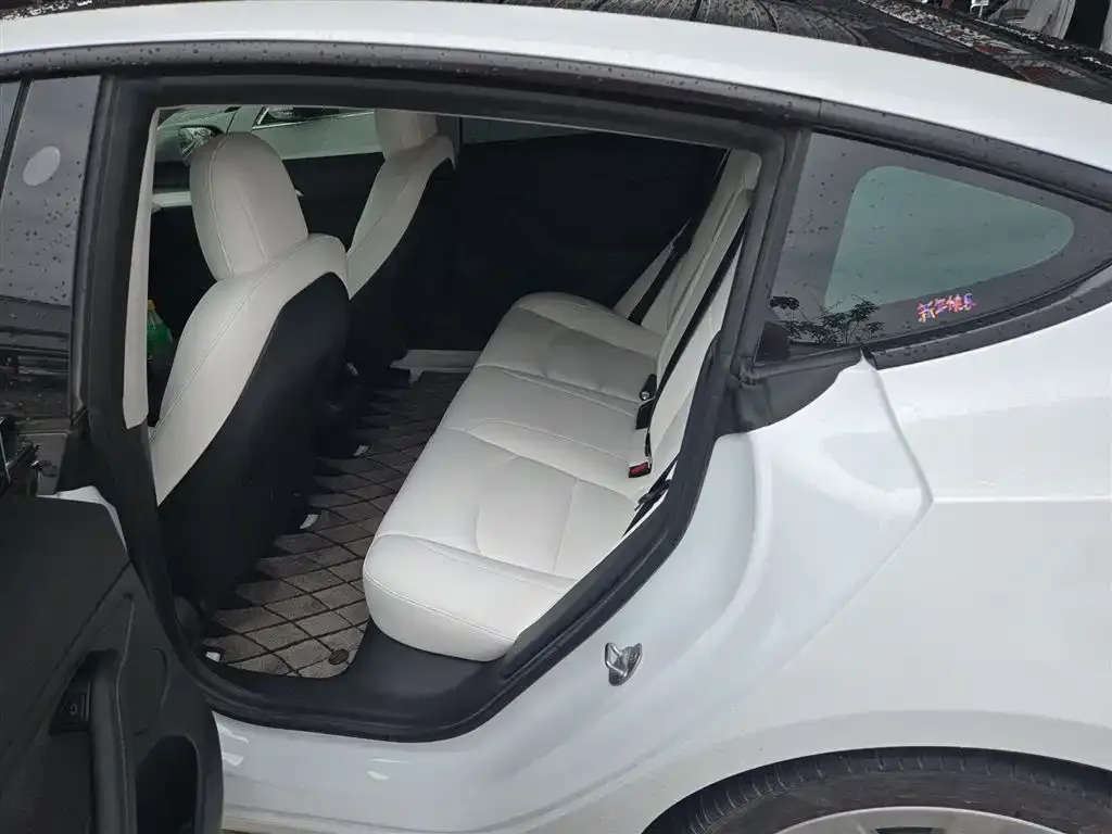 Tesla Model 3 2021 из CN, фото 8