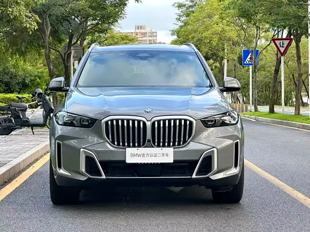 BMW X5 2024 из CN, фото 2