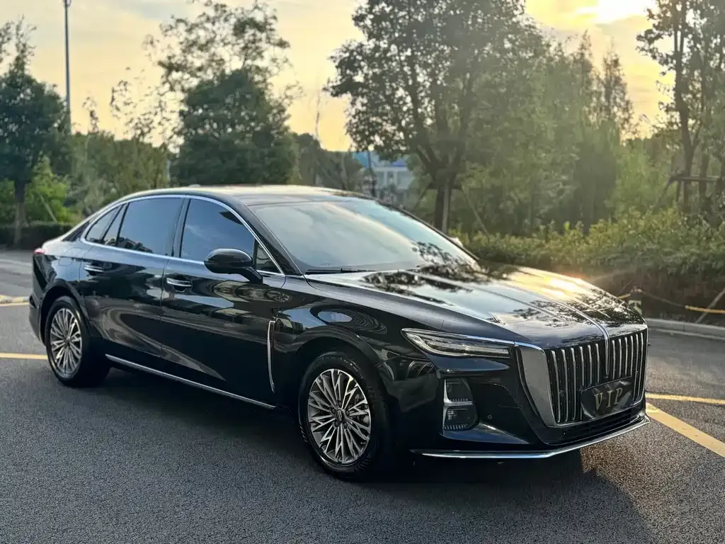 Hongqi H5 2024 из CN, фото 3
