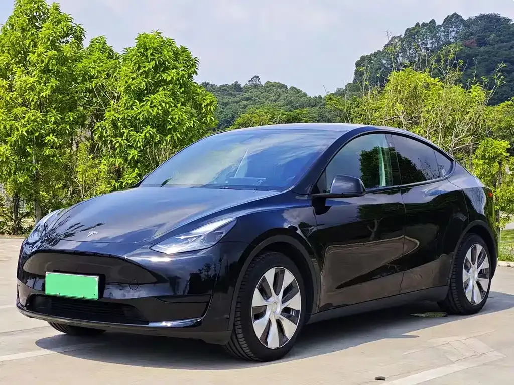 Tesla Model Y 2022 из CN, фото 1