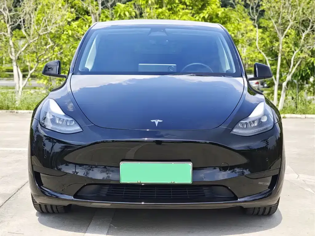 Tesla Model Y 2022 из CN, фото 2