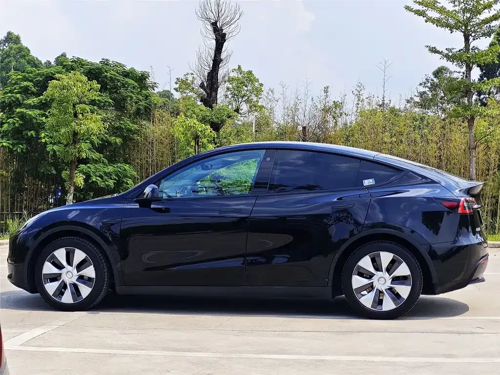 Tesla Model Y 2022 из CN, фото 4